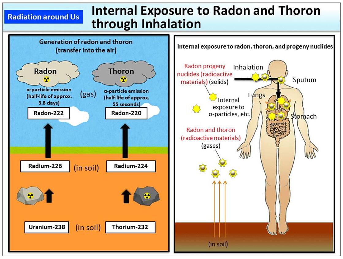 radon thoron inhalation